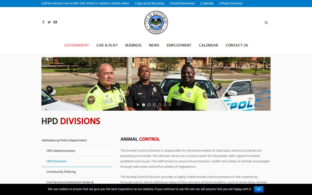 Forrest County traffic court records Hattiesburg traffic division context